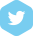 Twitter icon